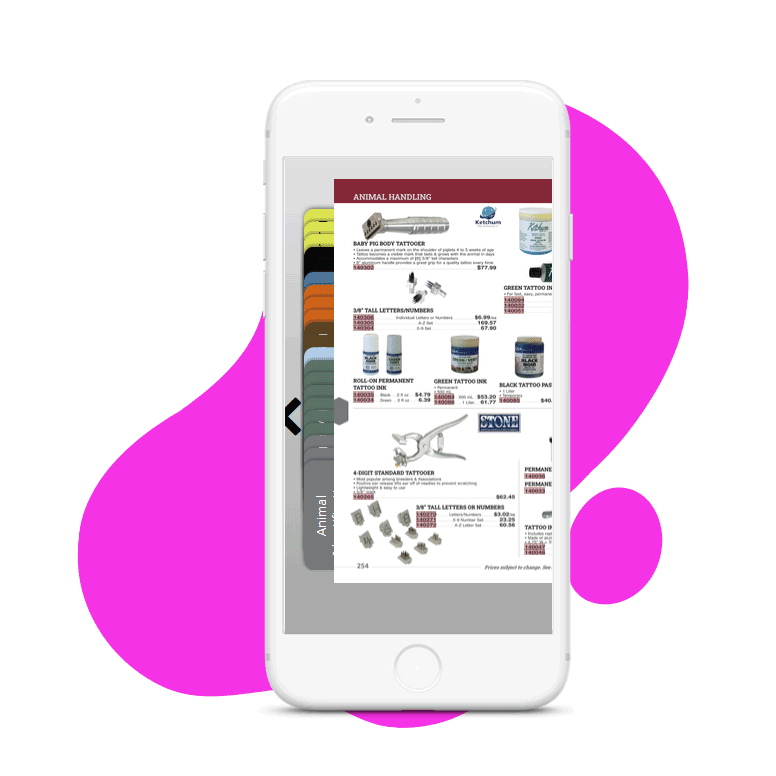 feature demonstration of shopping window in digital catalog