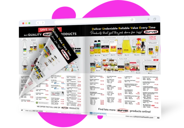 example page from online sales brochure